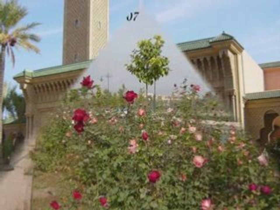 Visite de  Marrakech