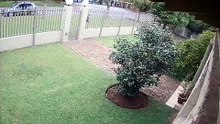 Davidson Street, Rynfield #SouthAfrica #CCTV #CaughtOnCamera #CCTVFootage