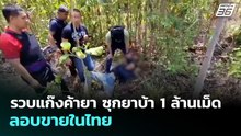 รวบแก๊งค้ายา ซุกยาบ้า 1 ล้านเม็ด ลอบขายในไทย| ทันข่าวสุดสัปดาห์ | 3 พ.ค. 69