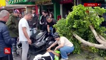 Antalya'da önce ağaca, ardından temizlik işçisine çarparak durabildi facianın eşiğiniden dönüldü