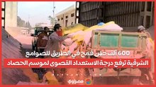 600 ألف طن قمح في الطريق للصوامع.. الشرقية ترفع درجة الاستعداد القصوى لموسم الحصاد