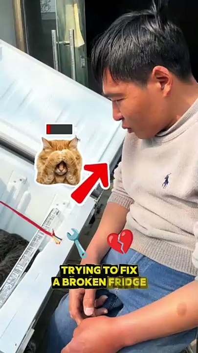 This Cat Fixed a Fridge,Take Over Your Job
