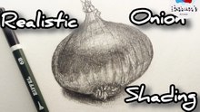 How to draw an onion, realistic pencil drawing