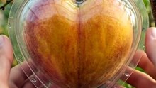Peach Heart Shape Mold – Romantic Fruit Transformation ❤️