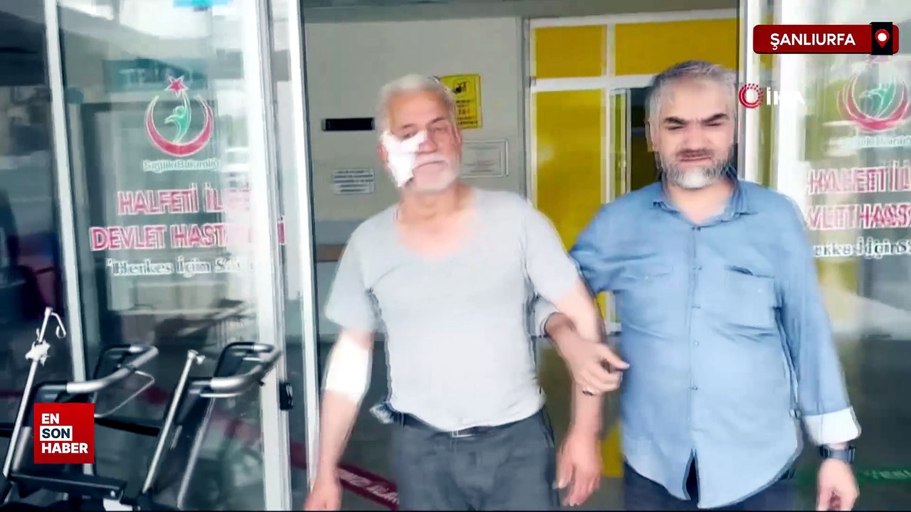 Şanlıurfa’da köpek saldırısına uğrayan yaşlı adam yaralandı