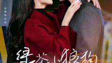 229-1 精彩都市短剧 《绿茶小狼狗诱我情深》 中