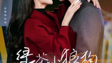 229-2 精彩都市短剧 《绿茶小狼狗诱我情深》  下