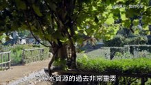 雲 ep3