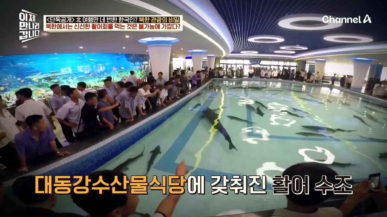 코로나 이후 5년 만에 다시 도전한 북한 여행?! 영일의 바람은 이뤄졌을까?