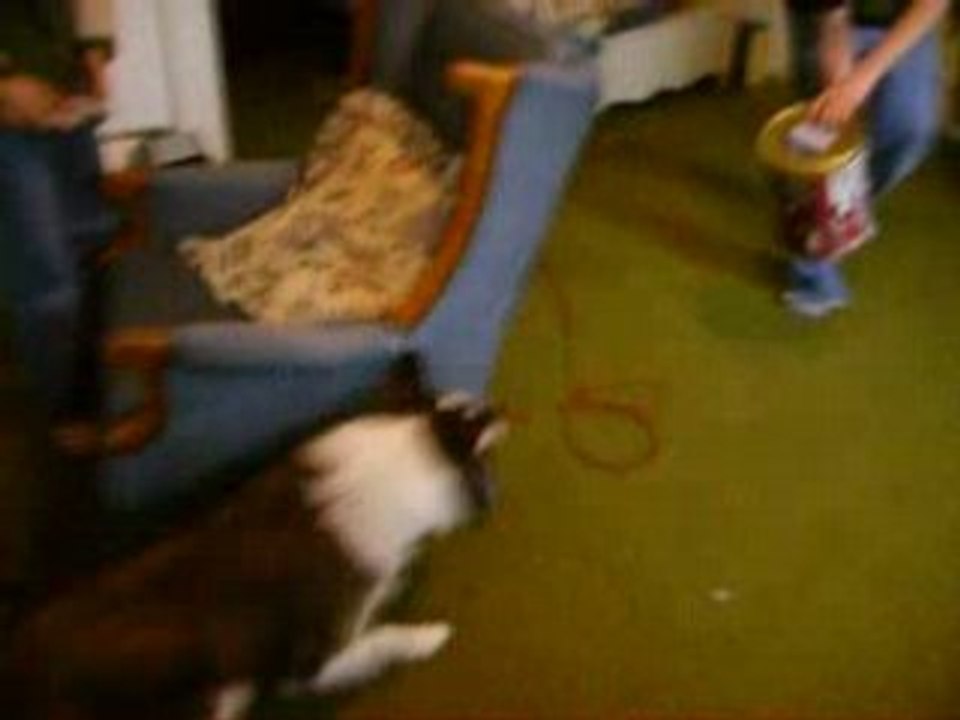 Maynard vs. Kittens on a Tin