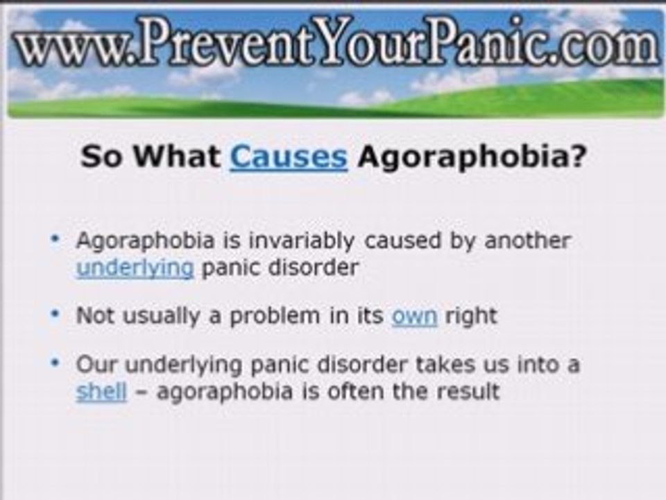 Panic Disorder And Agoraphobia Support