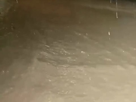 Moradores da Vila Gomes relatam noite de medo após novos alagamentos