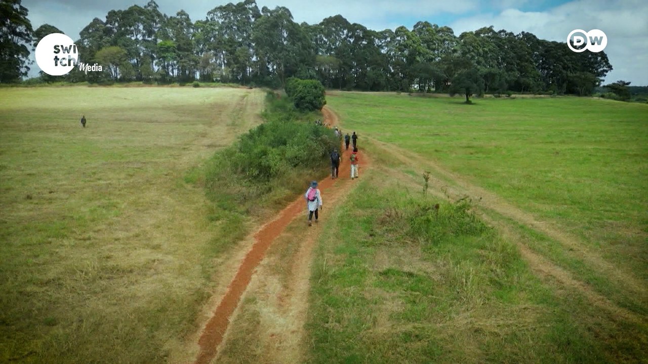 Putting Africa into the spotlight |DW'S Afrimaxx