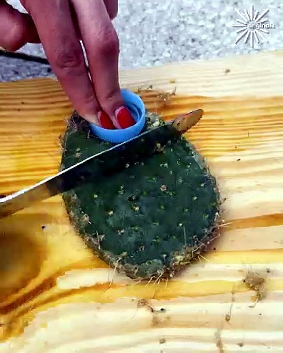 Cactus shaving ASMR! 🌵