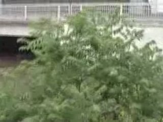 Cedar Rapids Flooding 2008