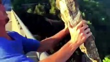 A satisfying moment of throwing stones / Oddly Satisfying