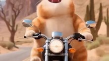 Happy AI Cartoons😺🐱😻