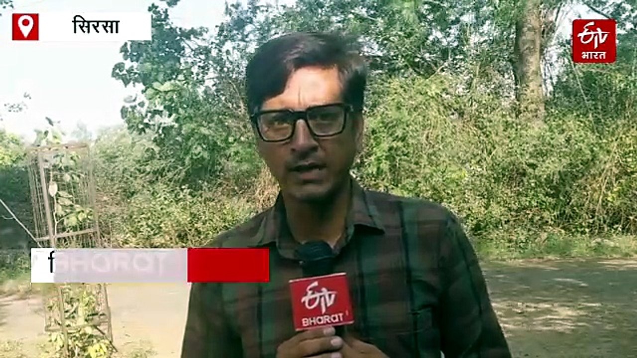 हरियाणा में मौसम का कहर जारी, आधी रात बरसे ओले, आंधी से पेड़ और पोल गिरे, 11 जिलों में बारिश का अलर्ट जारी