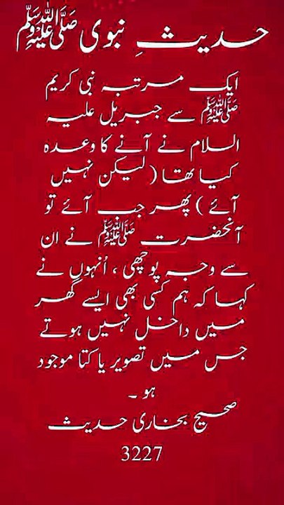 HADEES NABVI