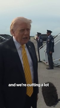 Trump plans deeper troop cuts in Germany