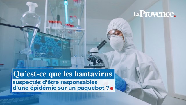 Qu’est-ce que les hantavirus suspectés d’être responsables d’une épidémie sur un paquebot ?
