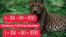 【COINBASE®】Customer- CaRe And.Support } Number - Complete Guide to Live Chat,, and 24/7 Service Care℗@2o26