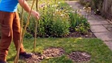 The Most Beautiful Green Garden Tent! ⛺🌿 #GardenHacks