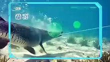 Reborn As A Fish, I Fought Back [Full Movie]