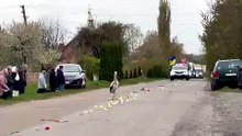 A stork appeared during a soldier’s farewell—and many saw it as a sign 🕊️