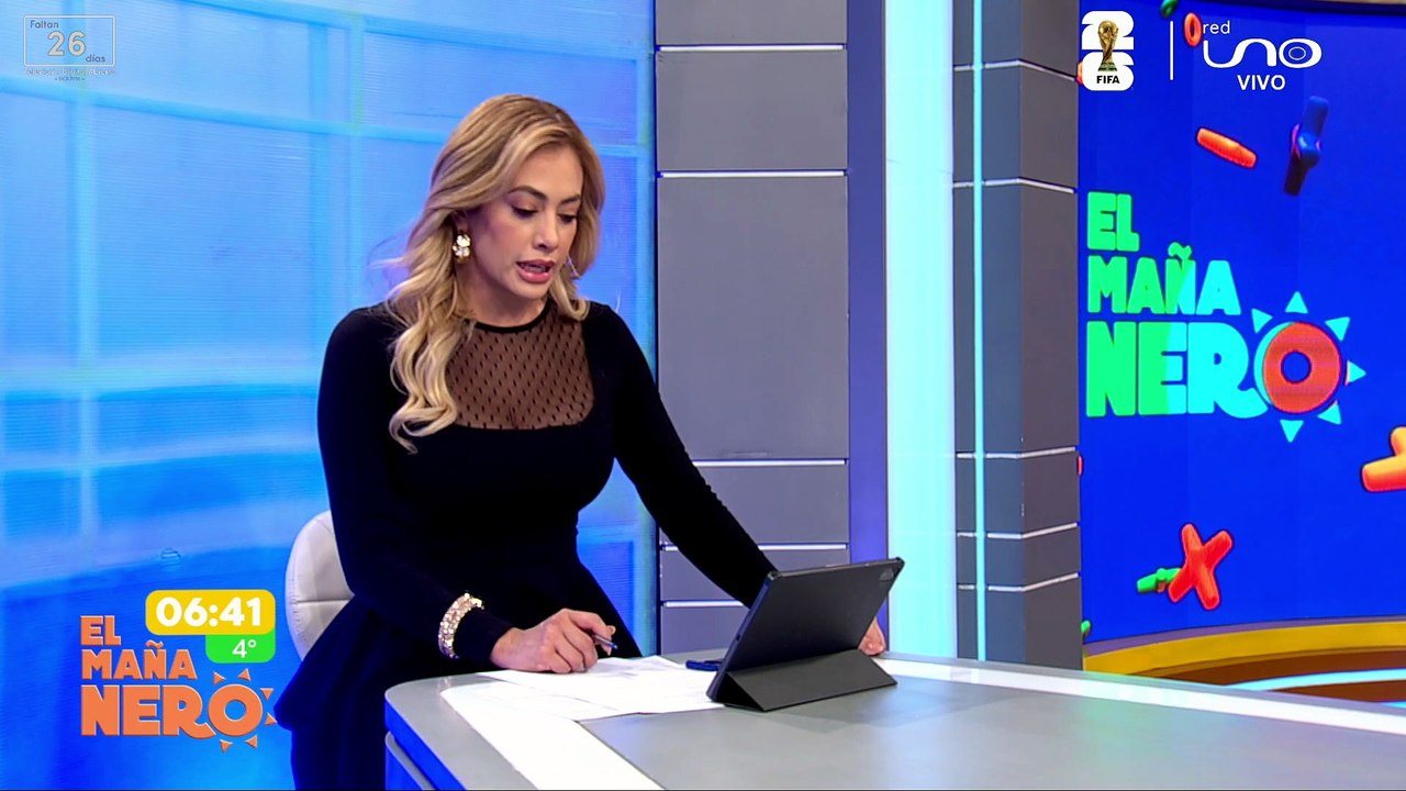 TEMA SEGURIDAD