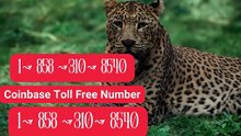 〖 Immediately〗LOGIN ⁂Coinbase® Toll free© helpline® Numbers 抑… 24*7 HELP DEsK