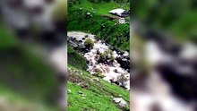 Bingöl'de kayıp ihbarı yapılan emekli öğretmen aranıyor
