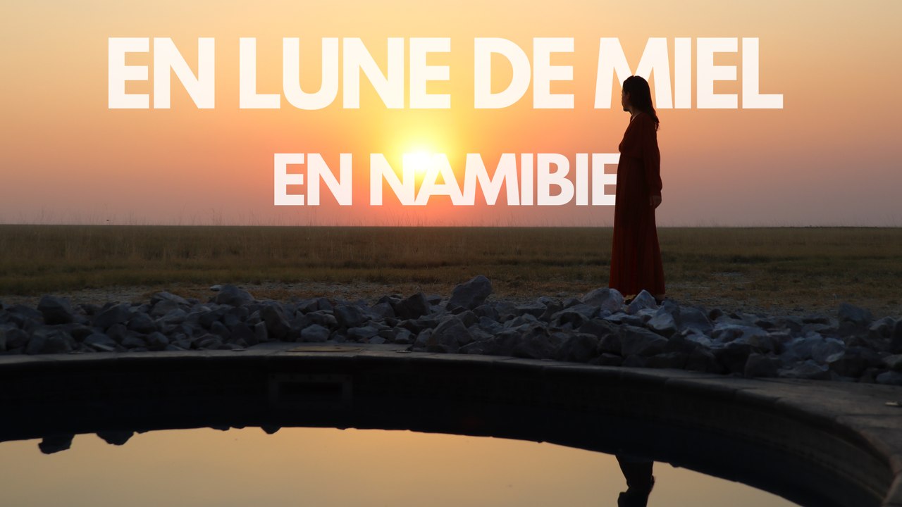 ON CONTINUE LE SAFARI À ETOSHA | VOYAGE DE NOCES EN NAMIBIE 🇳🇦