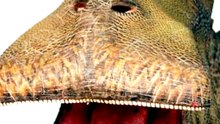 Ce dinosaure possède une tête horrible !