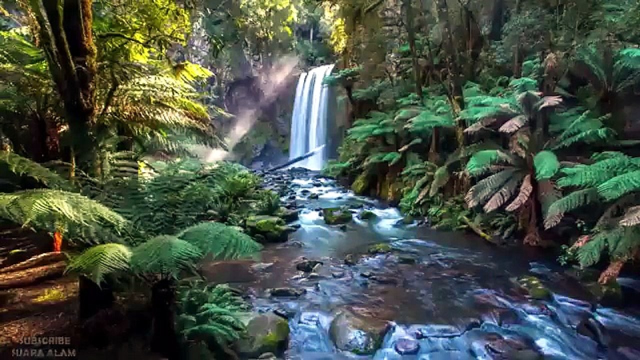 natural sounds calm the mind - Sounds of birds and flowing water
