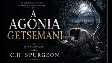 resumo do capítulo introdução do livro - A agonia do Getsemani