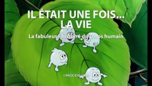 Il était une fois... la Vie - 05 - Le sang - HD 1080