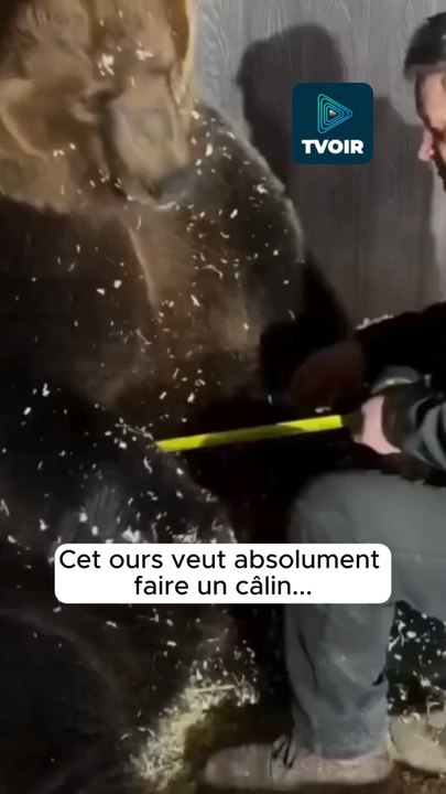 Il voulait seulement mesurer son tour de ventre 🥹🧸