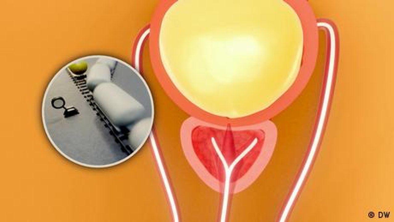 Prostata: Wie sie den Verkehr im Männerkörper regelt