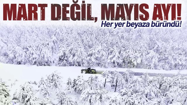Mayıs Ayında Lapa Lapa Kar Yağan Kar Hayatı Olumsuz Etkiledi!