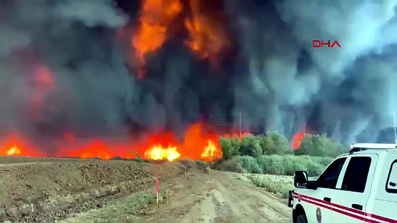 Rüzgar alevleri büyüttü! 2200 dönüm arazi küle döndü