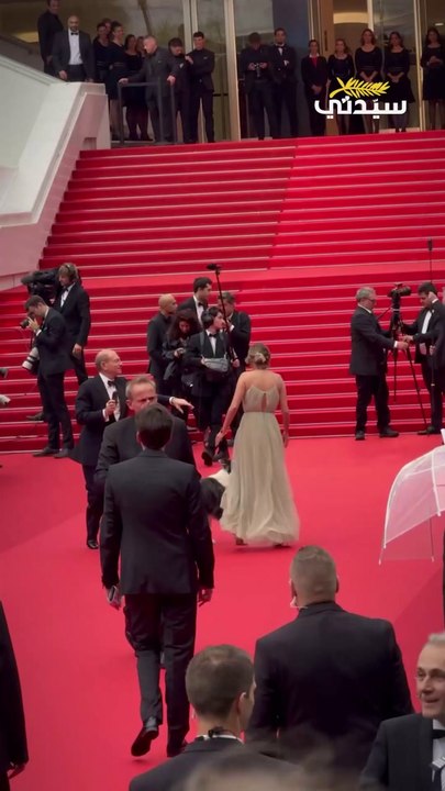 الكلب ميسي، من فيلم Anatomy Of A Fall مع النجوم في حفل افتتاح  مهرجان كان السينمائي لعام 2024- 1