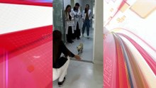 Presa ex-tutora de cadela que ingeriu crack; vídeo registra alta do animal da UTI