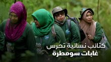 كتائب نسائية تحرس غابات سومطرة