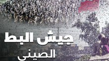 باكستان تواجه الجراد بجيش البط الصيني