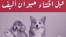 4 أفلام عربية ننتظرها في عام 2020