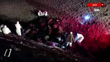 Iğdır’da arı saldırısının bilançosu: 816 koyun telef
