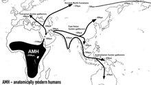 Is The: Out Of Africa Theory Still Valid?