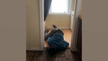 Best Fails of the Week