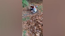 Mini Life Fails